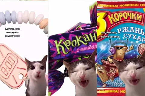 Кот хрустит