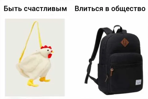 Влиться в общество или Быть счастливым