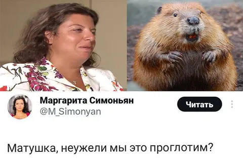 Матушка, неужели мы это проглотим