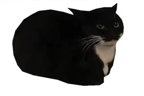 Кот Максвелл