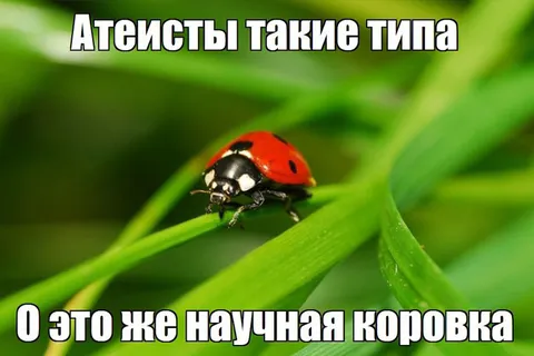 Atheists Be Like (Scientific Ladybug)