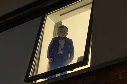 Hasbulla in the Window