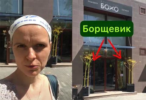 Вся область заросла, и Москва зарастает этой дрянью