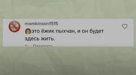 Ежик Пыхчан