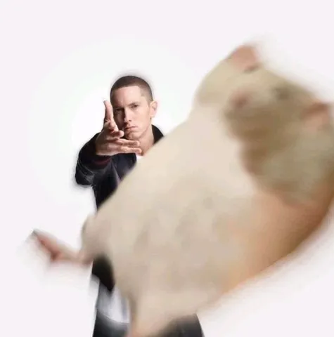 Лови хомяка
