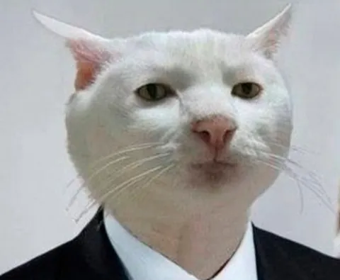 Приемлемо