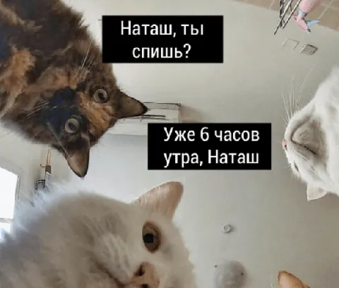 Наташ, мы там всё уронили