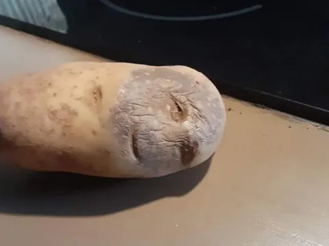 Potato with a Human Face