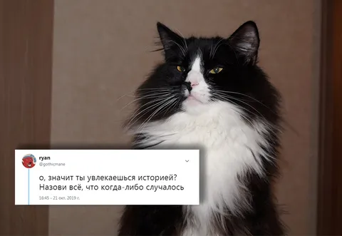 О, ты любишь X? Назови все из них