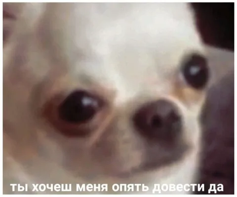 Ты хочешь меня опять довести да