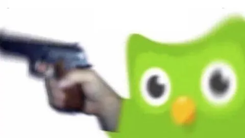 Злая сова Duolingo