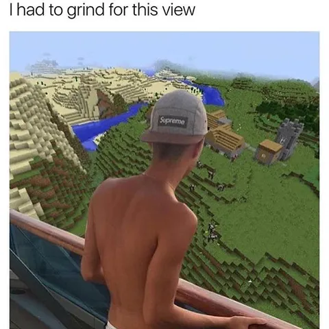 I Had to Grind For This View