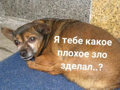 Я тебе какое плохое зло сделал?