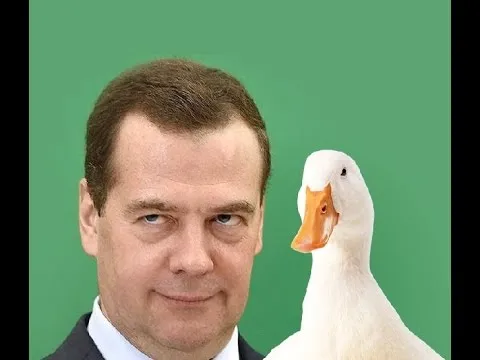 Уточка Медведева