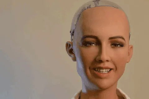 Sophia the Robot