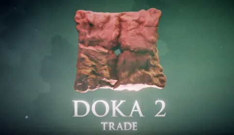 Дока 2