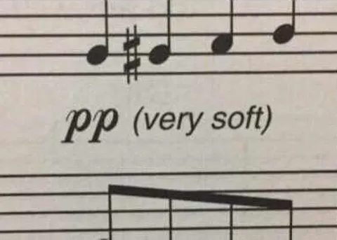 PP (very soft)