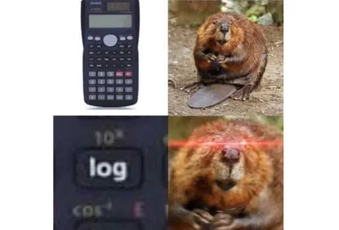Бобёр и бревно