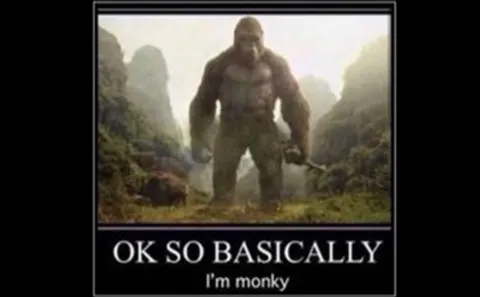 Ok So Basically I’m Monky