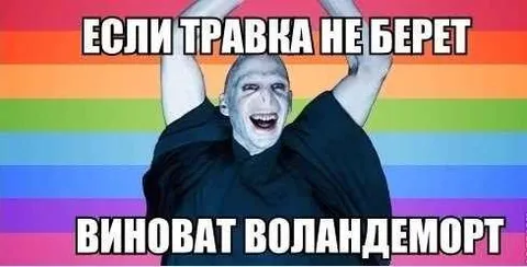 Виноват Волан-де-Морт