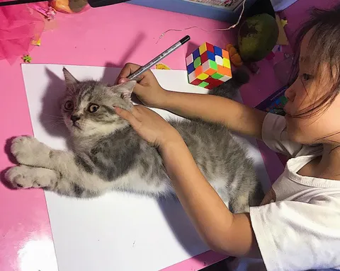 Девочка обводит кошку
