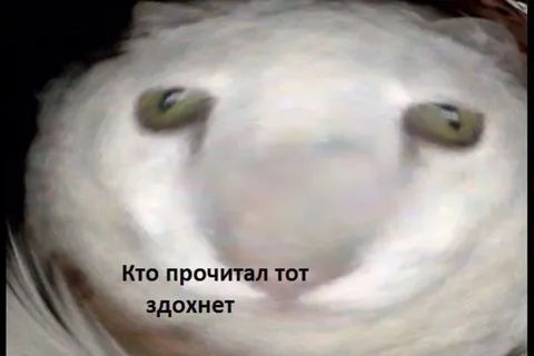 Кто прочитал, тот здохнет