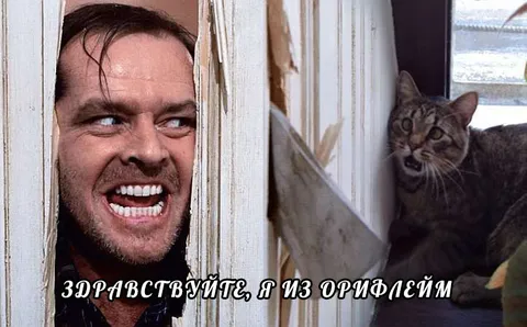 Здравствуйте, я представляю компанию Орифлейм