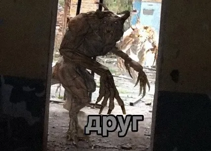 ДРУГ