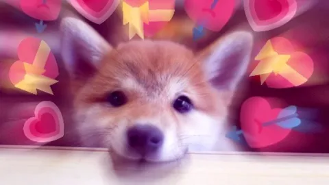 You So Precious When You Smile