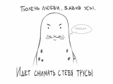 Тюлень любви