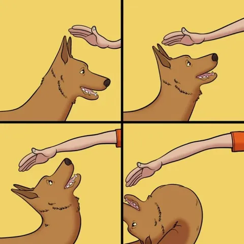 Dog Dodging Pets