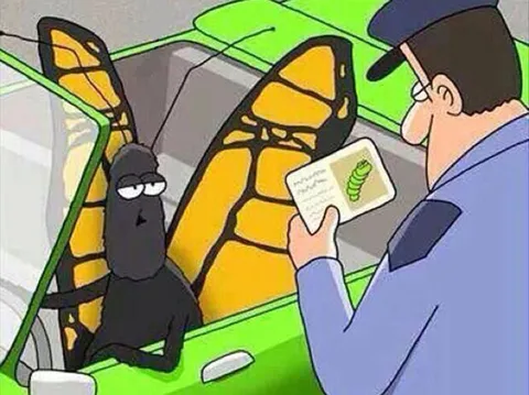 That's an Old Photo (Butterfly Behind the Wheel)