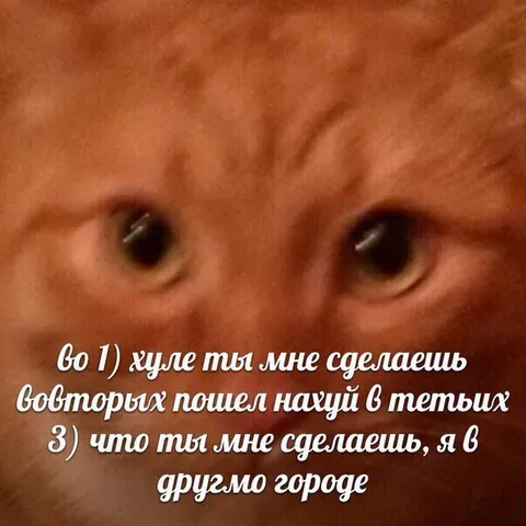 Во 1) что ты мне сделаешь