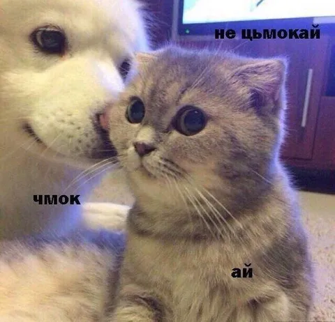 Тьмок