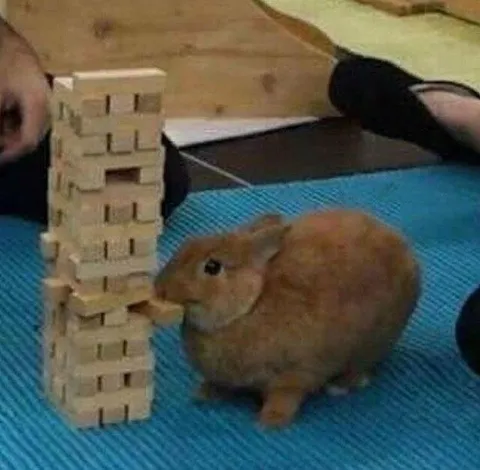 Кролик играет в дженгу