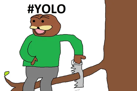 YOLO