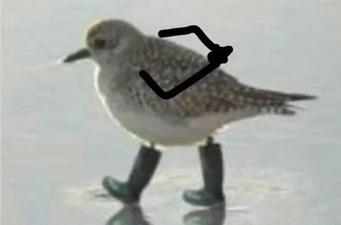 Штош