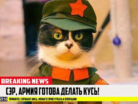Срочные новости с животными