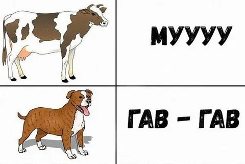 Мем звуки животных