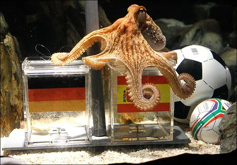 Paul the Octopus