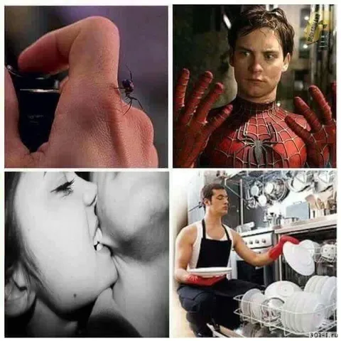 Когда укусило не то