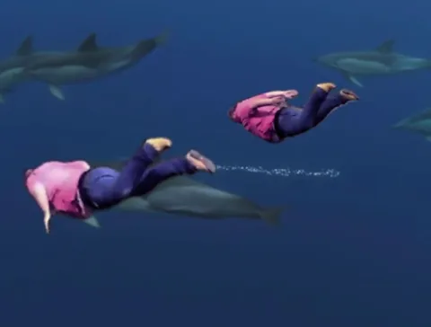 Shooting Stars