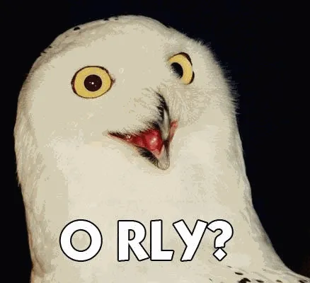 O RLY? (удивленная сова)